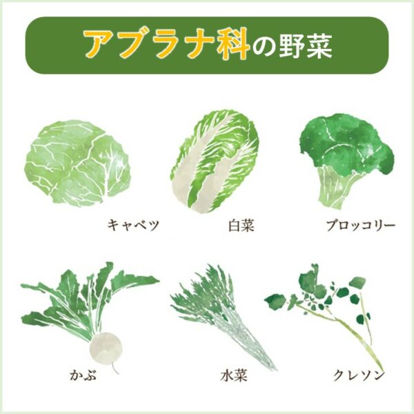 にっぽんのおいしいもの その4「菜の花」で食を楽しもう！ | コラム | 社員食堂・給食事業委託ならエームサービス株式会社