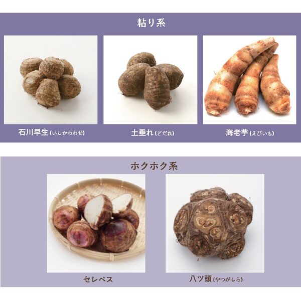 里芋 種類 見分け方 | 里芋の種類 写真 _ 海老芋と里芋の違いは? – EHJV