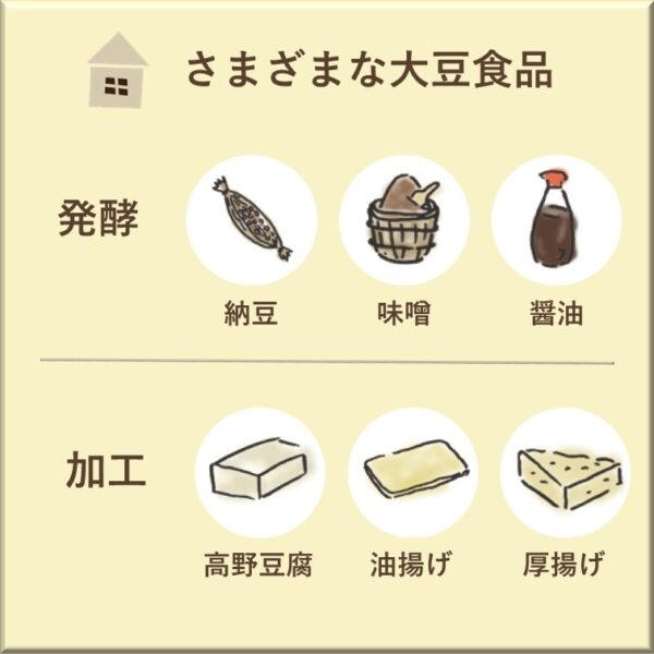 大豆食品のイラスト